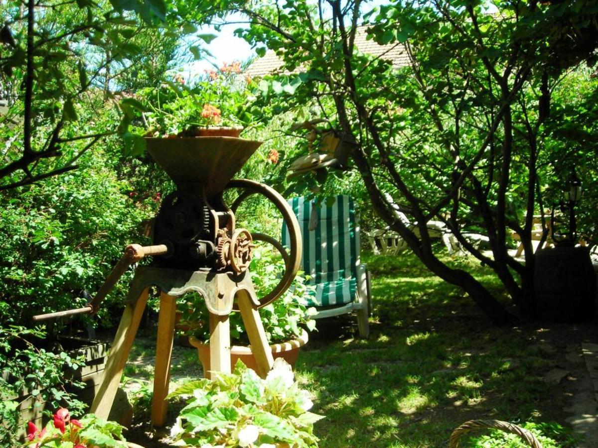 Gite Charmant Avec Jardin Privatif, Proche Sites Historiques Et Activites De Plein Air - Fr-1-496-183 Cuinzier Экстерьер фото